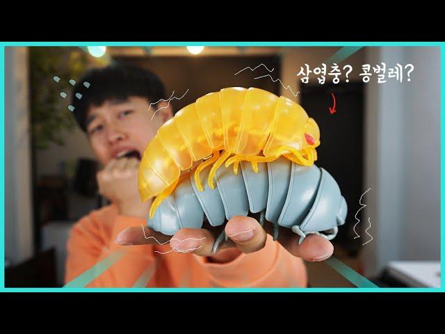 진짜 특이한 콩벌레 장난감 리뷰. 삼엽충 친척인줄 ㅋㅋ | 히히튜브
