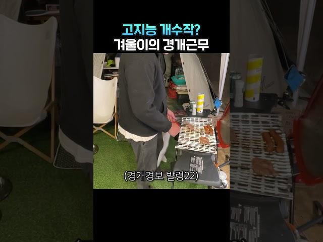 겨울이는 야근 중 #Shorts
