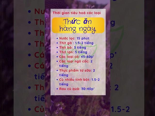 Bí Kíp Khỏe Mạnh Của Người Xưa | Khỏe quá trời ơi! #khoequatroioi #songkhoemoingay #songtho
