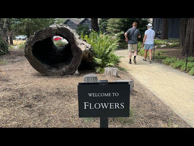 Refined Exploring at Flowers Winery in Healdsburg California