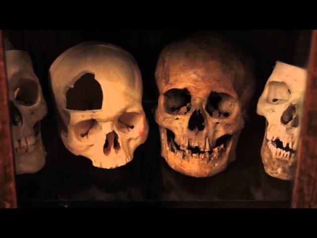 MUSEUM OF DEATH - THE LAB TV