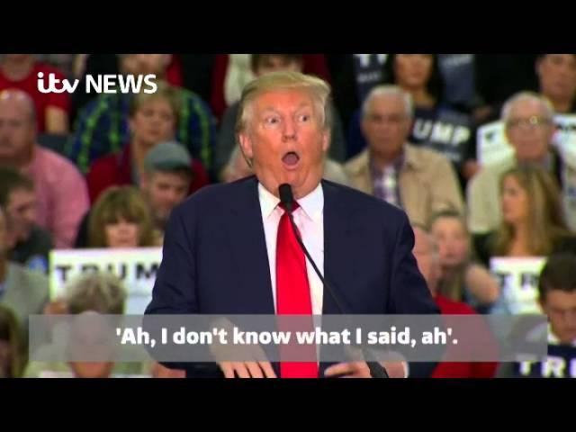 Donald Trump appears to mock a reporter's disability