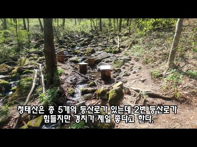 (100대명산 청태산) 청태산 최단코스 #청태산 #청태산최단코스 #outdoors #southkorea #hiking #mountainslayer #블랙야크