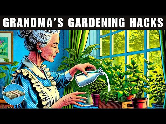 Grandma's 39 Indoor Gardening Hacks You'll Wish You Knew Sooner