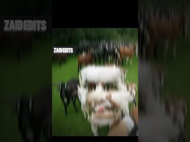 Goat Ronaldo #shorts#zaid edits #subscribe my channel and follow for more videos #viral