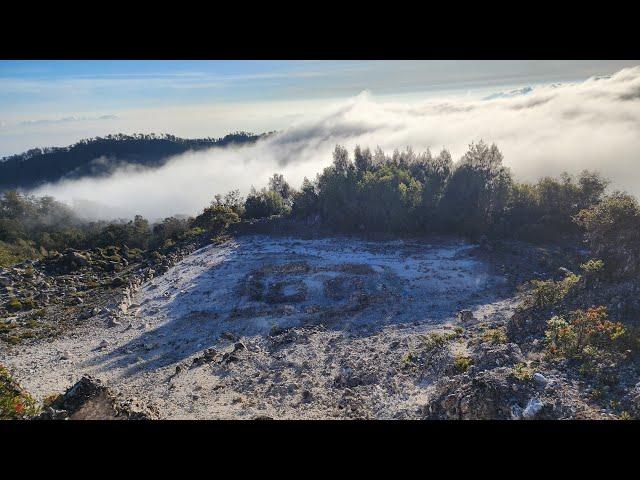 Full Argopuro Baderan-Bremi #14 | SUMMIT  DAN EXPLORE PUNCAK RENGGANIS