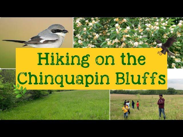 Hiking At The Chinquapin Bluffs | Telugu Vlogs USA | Paturi Vlogs