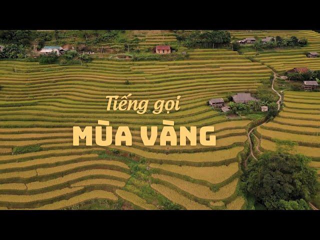 Tiếng gọi mùa vàng | SẮC MÀU CÁC DÂN TỘC | VTV5