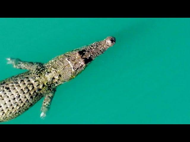 Horizontal Falls - Sailing with Lamitsu