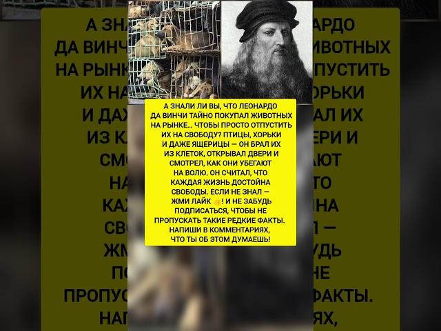 Он покупал животных… чтобы отпустить их на свободу. Интересные факты и история. #история #факты