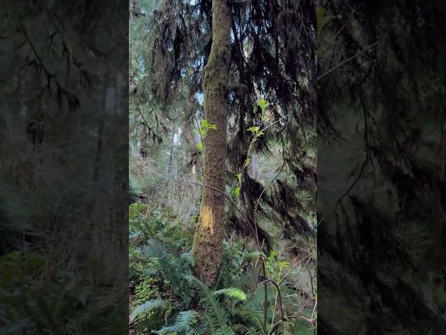 Бог все делает вовремя. / #натальягурмеза #божья