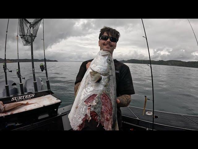 Chasing BIG Snapper and Kingfish in the Hauraki Gulf