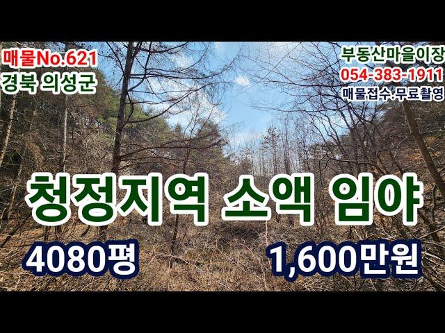 매물No.621 경북 의성군 의성임야 의성토지 의성땅 매매 의성부동산