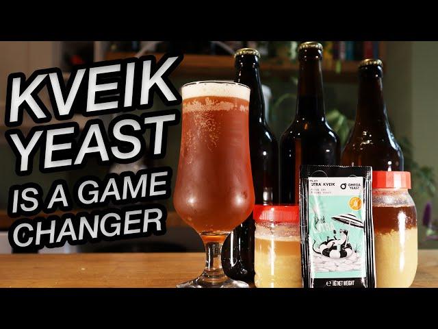 Kveik Yeast WILL Make You a Better Home Brewer in 2024