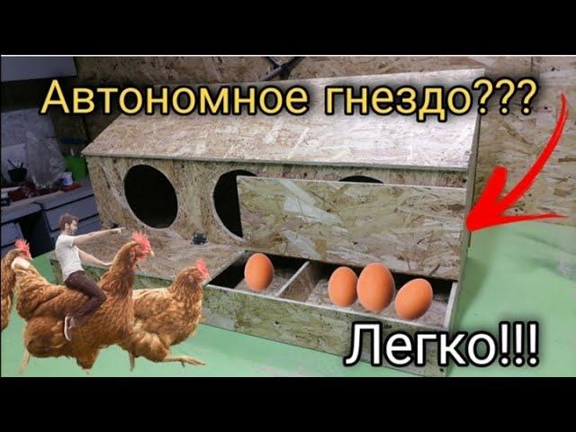 Куры расклевывают яйца. Не беспокойтесь, есть отличный ЛАЙФХАК. Гнездо для кур с яйцесборником