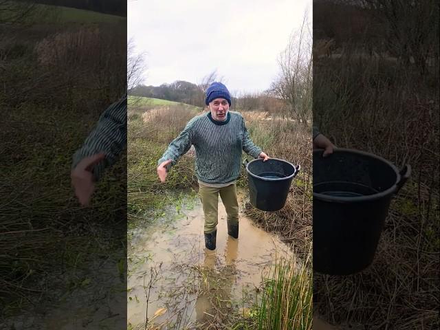 Stormy Howling Wind #storm #weather #gardening #adventure #permaculture #gales #wind #swampland #mud