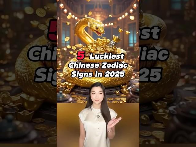 5 Luckiest Chinese Zodiac Signs in 2025  #chineseculture #newyear2025 #china #happynewyear