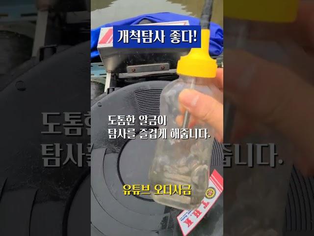 개척 사금탐사(Gold) 좋다! 요런 맛이징~ #사금 #사금채취 #goldpanning