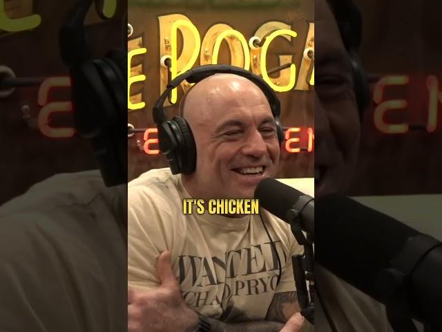 Chicken DNA Dinosaur Hoax- joe rogan experience #2338 - beth shapiro
