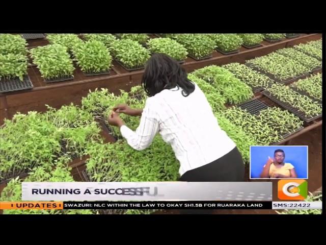 Running a successful seedlings raiser (Smart Farm) #JKL