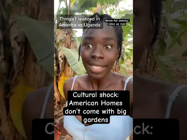 Cultural shock America Homes don’t have Full gardens!#fyp #america #ytshorts #culture #native #trend