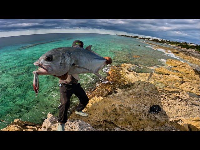  Action-Packed Adventure: Hunting for Giant Fish in Paradise! Pt.1