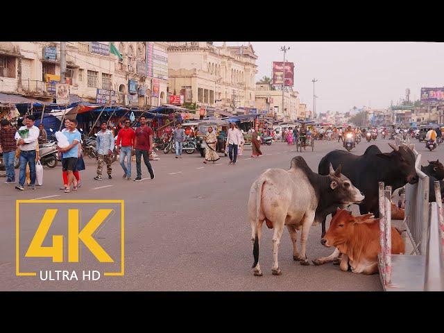 Everyday Life of Puri - 4K Travel Film - Incredible India - Cities of the World