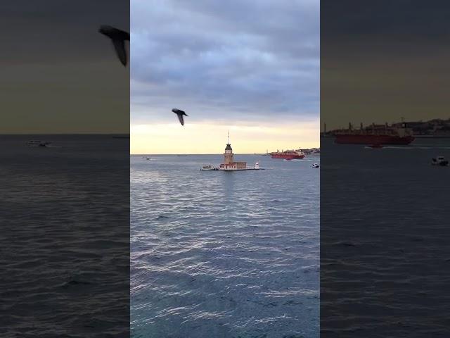 Üsküdar kız kulesi #istanbul #istanbulbeauty #turkey #travel #стамбул #турция #shorts #short
