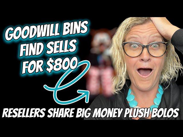 Goodwill Bins Plush Sells for $800 Stuffed Animal Resellers Share Big Money BOLOs in 2024