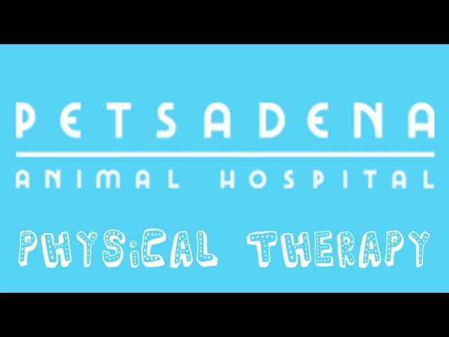 Physical Therapy at Petsadena Animal Hospital