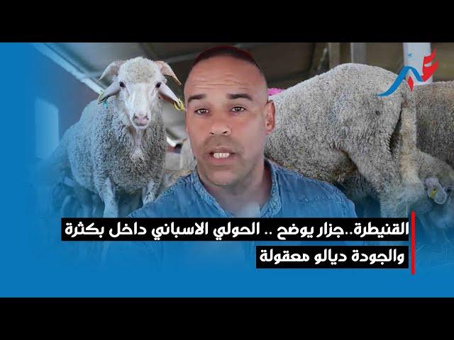 القنيطرة..جزار يوضح .. الحولي الاسباني داخل بكثرة والجودة ديالو معقولة