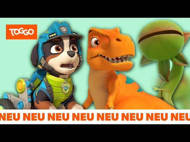 PAW Patrol Deutsch | Die T-Rex Rettung | Helfer auf vier Pfoten | TOGGO