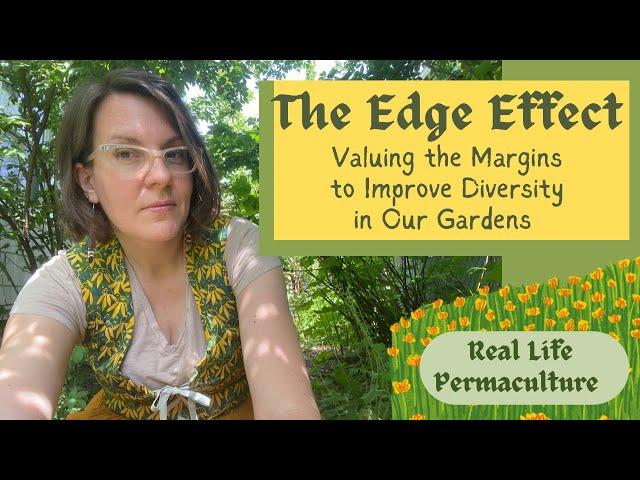 The Edge Effect: How to Value the Margins and Enhance Garden Biodiversity