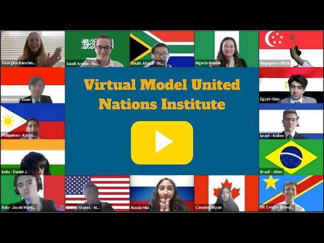 The Virtual Model United Nations Institute Summer Experience