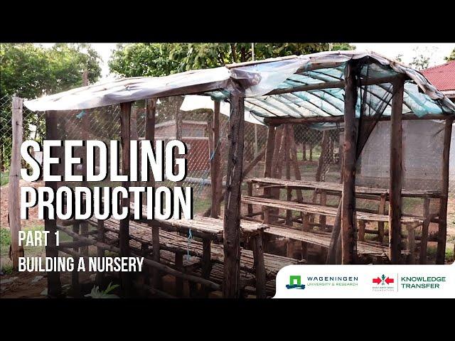 Seedling Production Part 1 – How to Build a Seedling Nursery