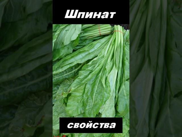 Шпинат, овощ, питательные вещества #shorts