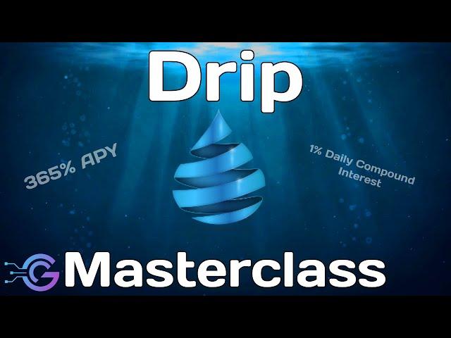 $Drip | The Drip Network Masterclass - The Ultimate Project Review