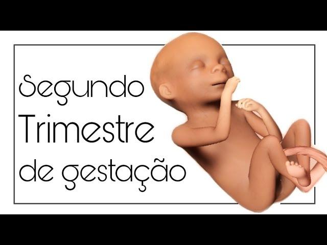 Relato do segundo trimestre de gestação!!!