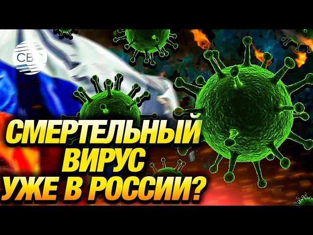 Роспотребнадзор тщательно отслеживает ситуацию с распространением вируса Марбург