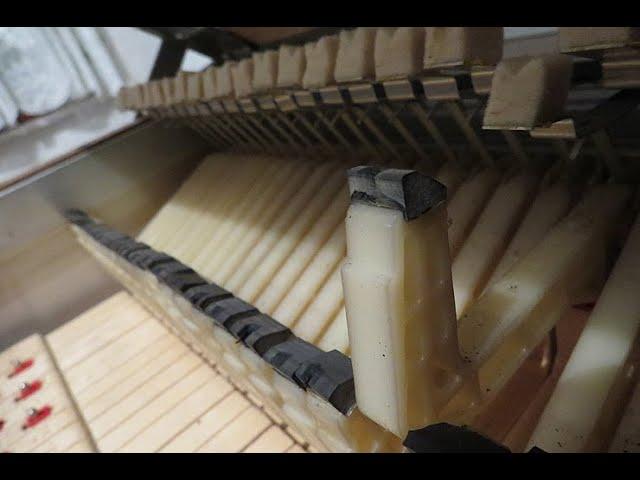 Fender Rhodes 73, Reparatur HammerTipps wechseln ...