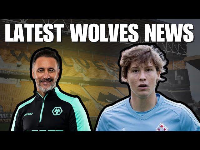 Benfica Want Pereira & Midfielder In Talks | WOLVES NEWS