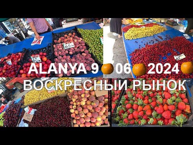 ALANYA ВОСКРЕСНЫЙ РЫНОК ЦЕНЫ ТУРЕЦКИЙ БАЗАР АЛАНЬЯ 9 ИЮНЯ 2024 ROMKA ROKER