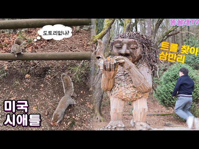 [미국 시애틀 대중교통 여행] 트롤 원정대 (+ 스타벅스 1호점 방문기)