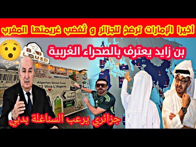 بالفيديو بن زايد يدخل بيت الطاعة  يعترف بالصحراء الغربية خوفا من الرد الجزائري و يدخل المخزن في صدمة