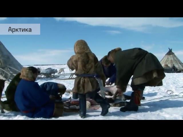 Культура и традиции коренных народов Севера