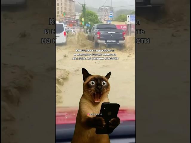 Погода в Сочи