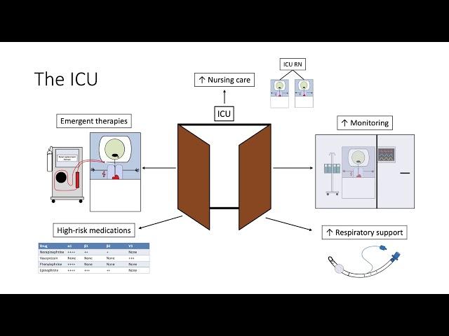 Introduction to the ICU