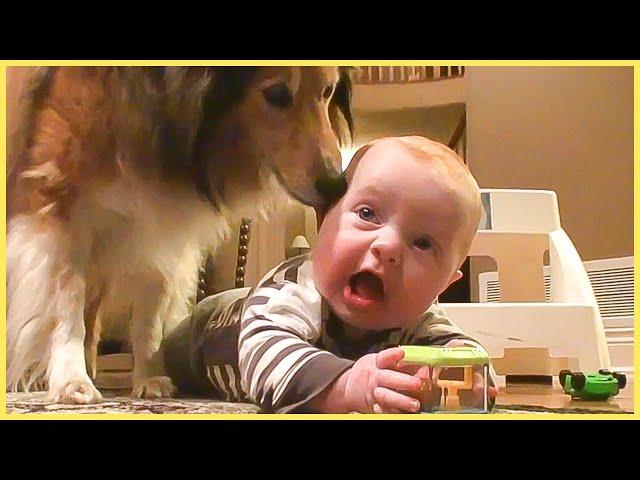 TRY NOT TO LAUGH: Funniest Baby FAILS Compilation || 5-Minute Fails