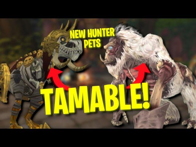 NEW UNIQUE TAMABLE PETS For Hunters In The War Within Pre-Patch