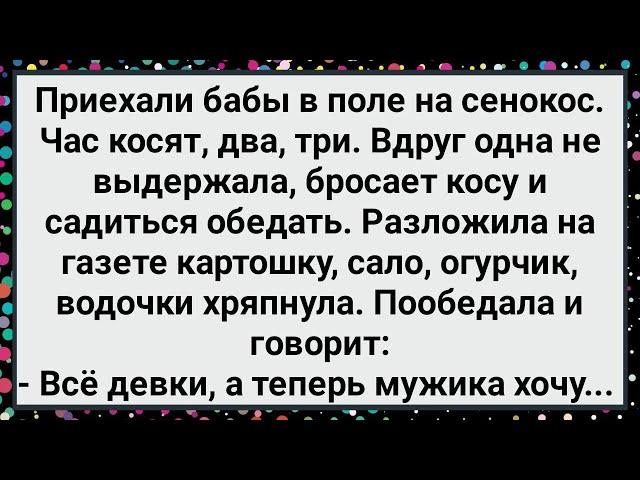 Как Бабы на Сенокос Приехали! Большой Сборник Свежих Смешных Анекдотов!